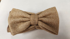 Bow Tie Paisley In Gold Lame'