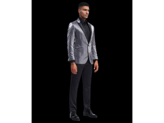 '-Rainwater's -Rainwater's - Tuxedo Rental - Grey Luster Peak Lapel Dinner Jacket Tuxedo Rental -